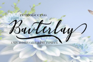 Bavterlay: A Modern Script Font That Makes Your Brand Feel Human