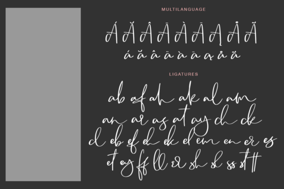 Camsay: A Handmade Script Font That Makes Your Brand Feel Thoughtful
