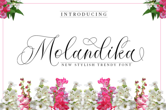 Molandika: An Elegant Script Font for Thoughtful Branding
