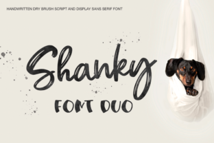 Shanky: A Versatile Font Duo for Web Designers