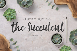 The Succulent Trio: A Versatile Script Typeface for Publishers