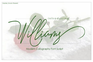 Why the Williams Script Font Deserves a Spot in Your Craft Font Library